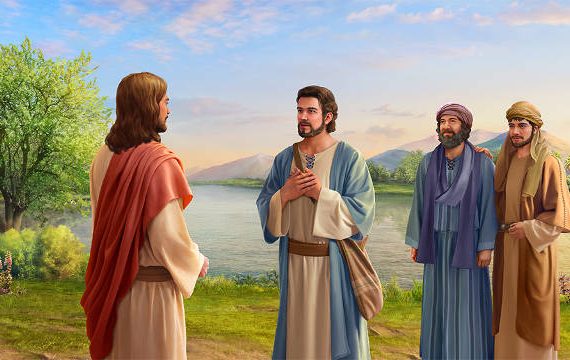 domingo xxiv to ciclo A 13-9-20