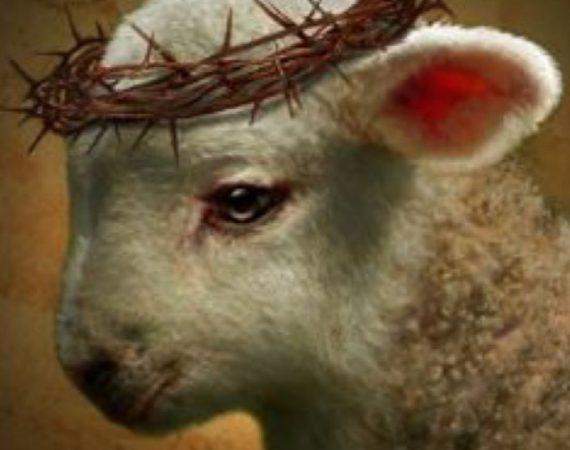 6f7b91b83911d3b7bceb79b4ad39c698