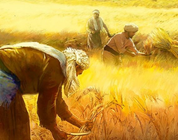 1_sDXLy1RB8mM8x_CMIJUm7Q