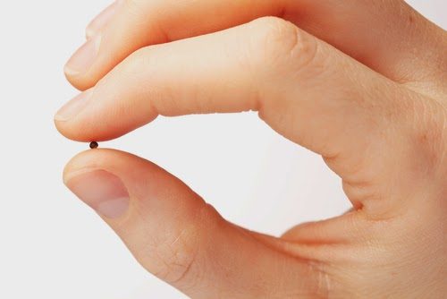 oct-31-2017-El-reino-se-parece-al-grano-de-mostaza-y-a-la-levadura