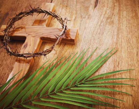 Domingo de ramos blogger